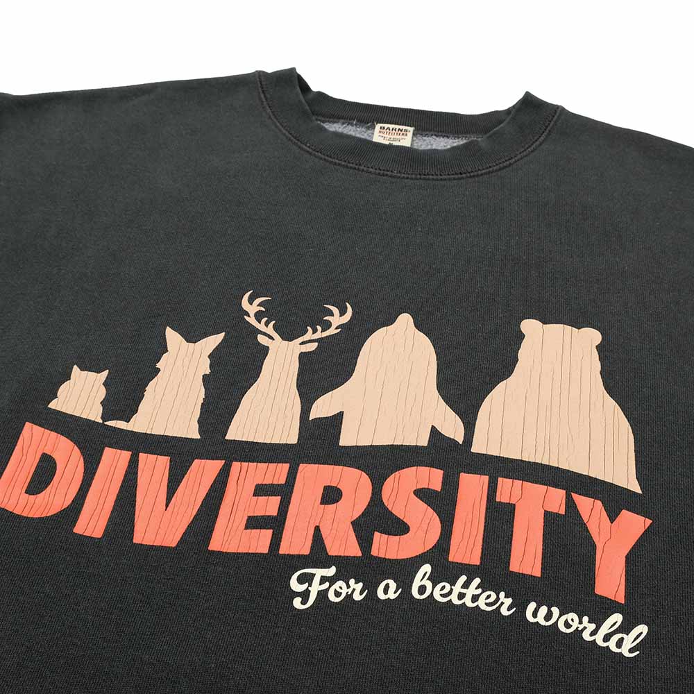 BARNS - ATHLETIC CREW SWEATSHIRT - DIVERSITY - BR-25463